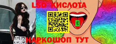 a pvp Новодвинск