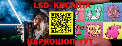 шишки Обнинск