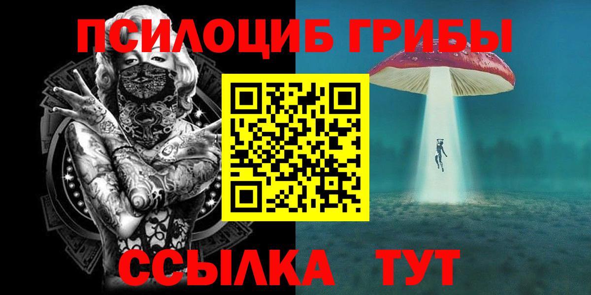 Северск  Галлюциногенные грибы мухоморы  Вход с VPN 